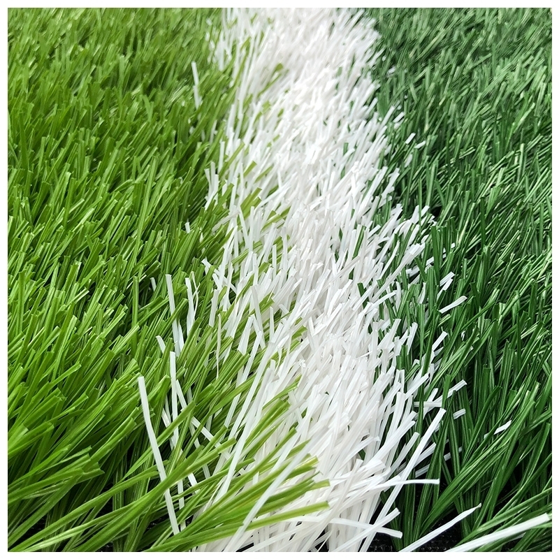 郑州足球场专用人造草